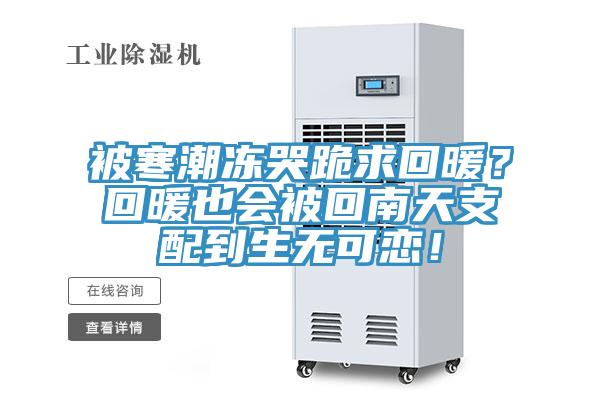 被寒潮凍哭跪求回暖？回暖也會被回南天支配到生無可戀！