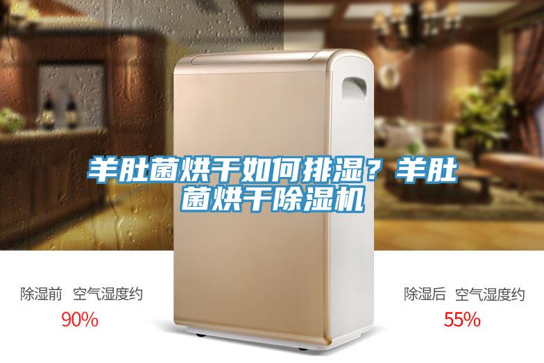 羊肚菌烘干如何排濕？羊肚菌烘干除濕機(jī)