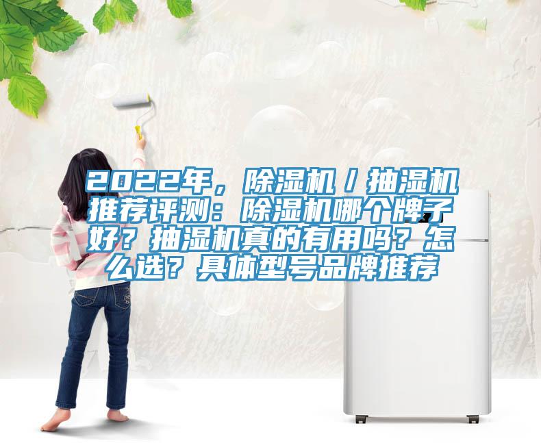 2022年，除濕機／抽濕機推薦評測：除濕機哪個牌子好？抽濕機真的有用嗎？怎么選？具體型號品牌推薦