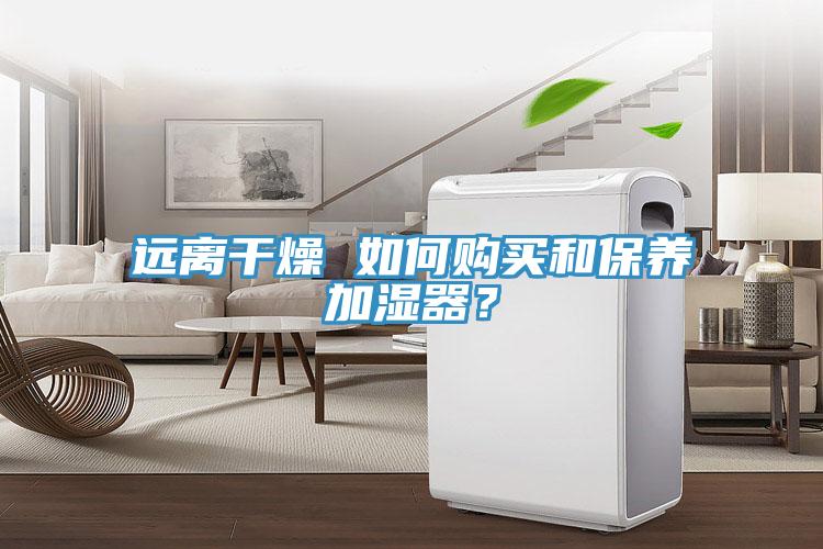 遠(yuǎn)離干燥 如何購買和保養(yǎng)加濕器？