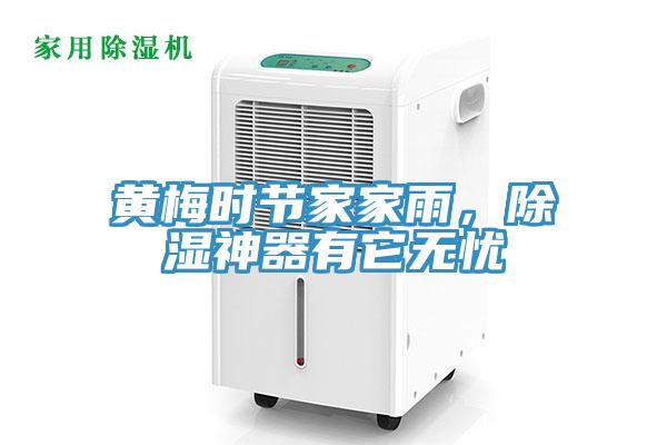 黃梅時(shí)節(jié)家家雨，除濕神器有它無(wú)憂
