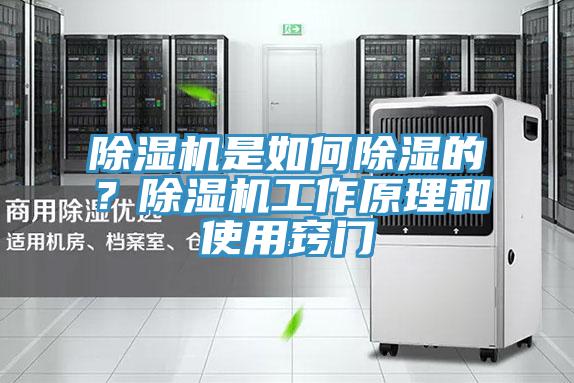 除濕機是如何除濕的？除濕機工作原理和使用竅門