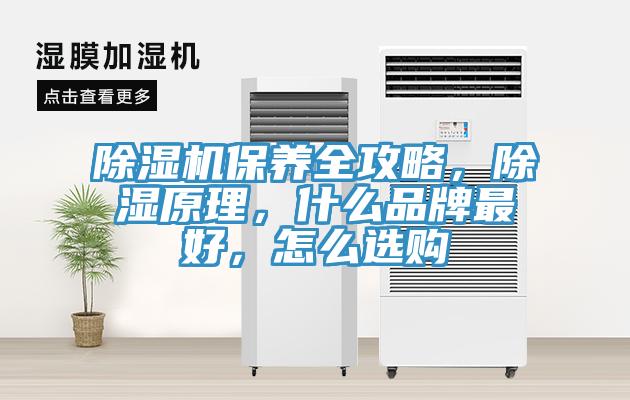 除濕機保養(yǎng)全攻略，除濕原理，什么品牌最好，怎么選購