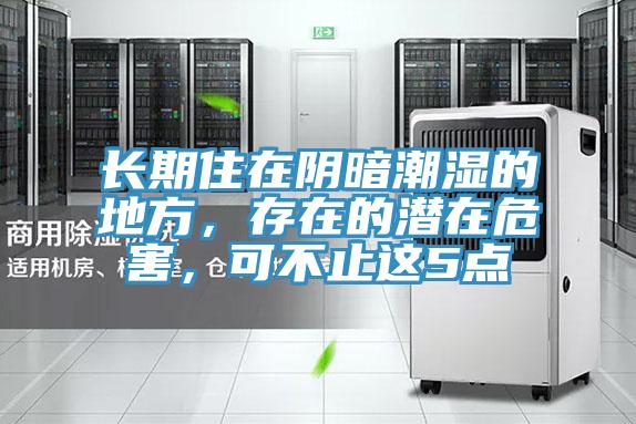 長期住在陰暗潮濕的地方，存在的潛在危害，可不止這5點(diǎn)