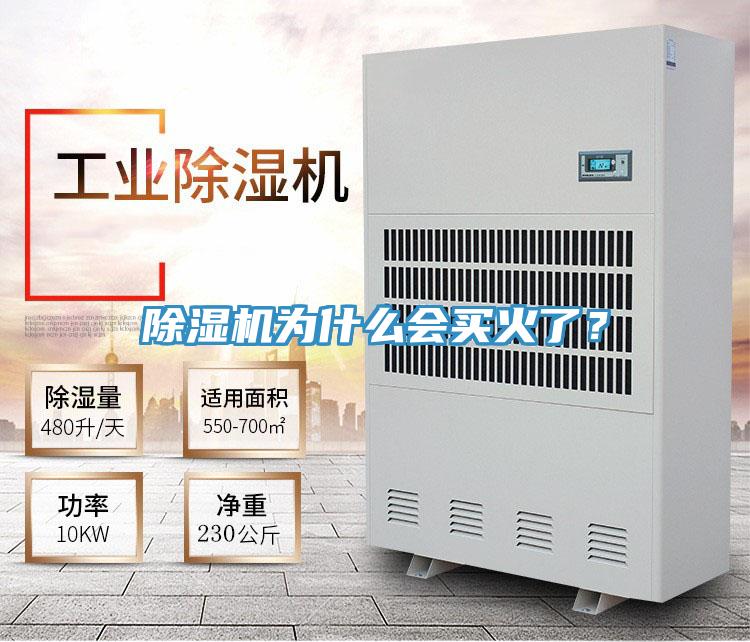 除濕機為什么會買火了？