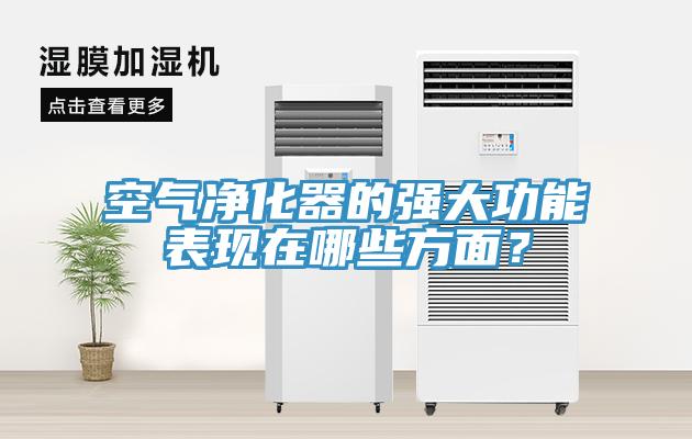 空氣凈化器的強大功能表現(xiàn)在哪些方面？