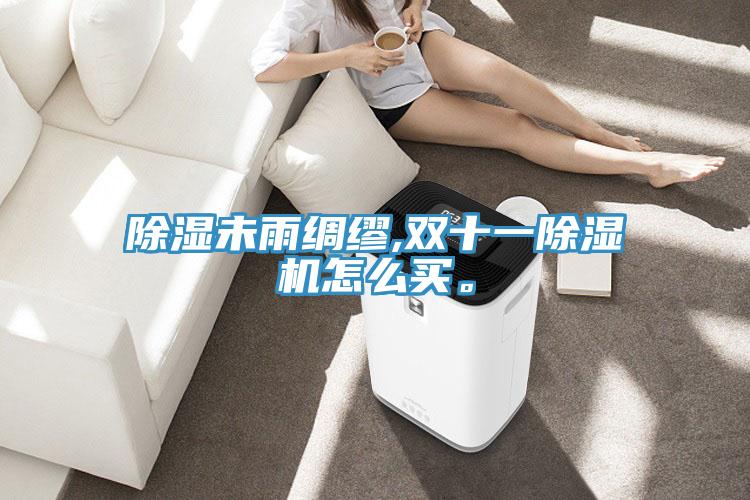 除濕未雨綢繆,雙十一除濕機怎么買。