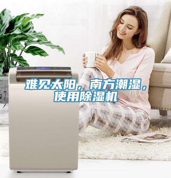 難見太陽，南方潮濕，使用除濕機