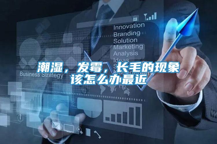 潮濕，發(fā)霉，長毛的現(xiàn)象該怎么辦最近