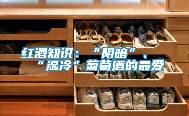 紅酒知識：“陰暗”、“濕冷”葡萄酒的最愛