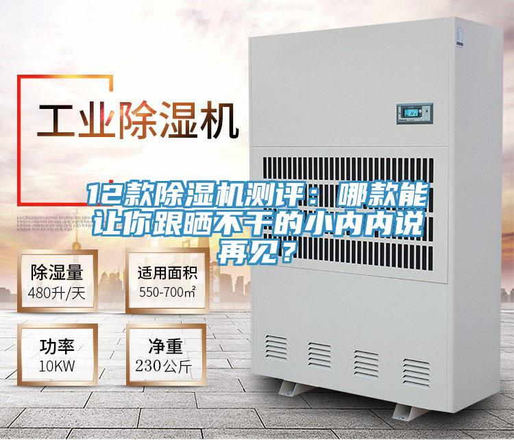 12款除濕機(jī)測(cè)評(píng)：哪款能讓你跟曬不干的小內(nèi)內(nèi)說(shuō)再見(jiàn)？