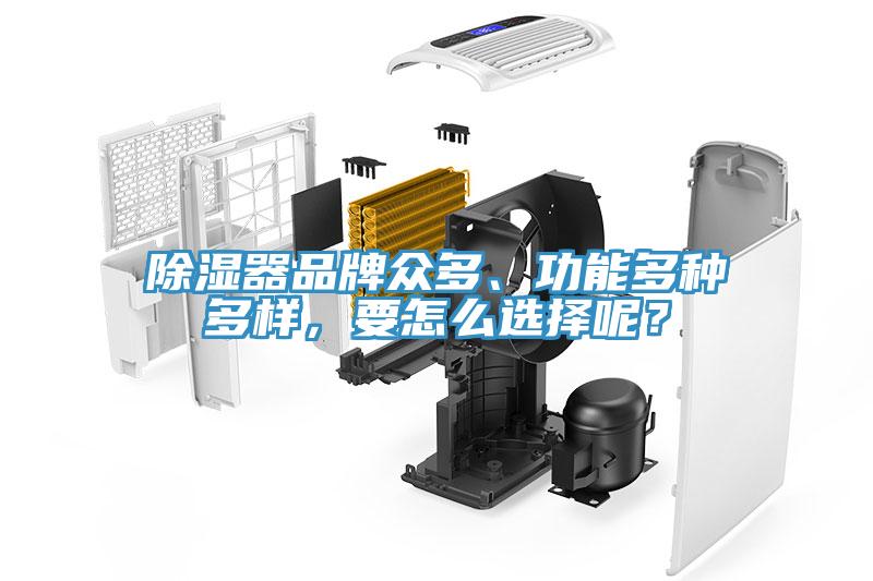 除濕器品牌眾多、功能多種多樣，要怎么選擇呢？