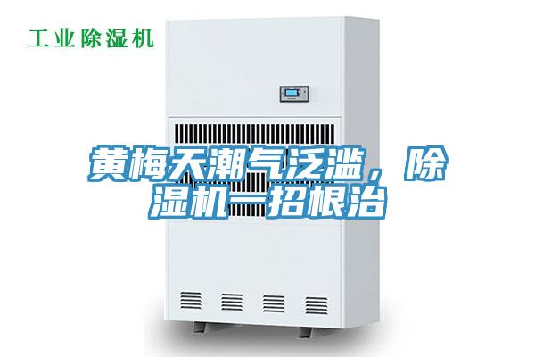 黃梅天潮氣泛濫，除濕機(jī)一招根治