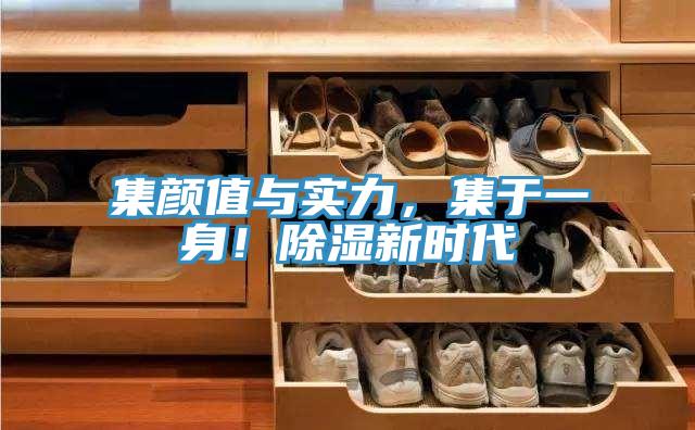 集顏值與實力，集于一身！除濕新時代