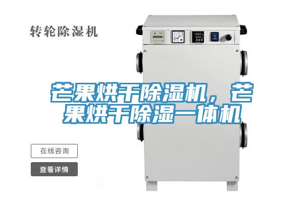 芒果烘干除濕機(jī)，芒果烘干除濕一體機(jī)