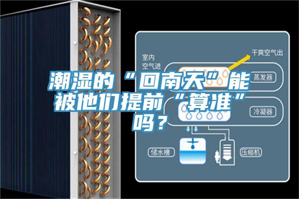 潮濕的“回南天”能被他們提前“算準(zhǔn)”嗎？
