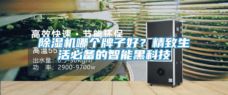 除濕機(jī)哪個(gè)牌子好？精致生活必備的智能黑科技