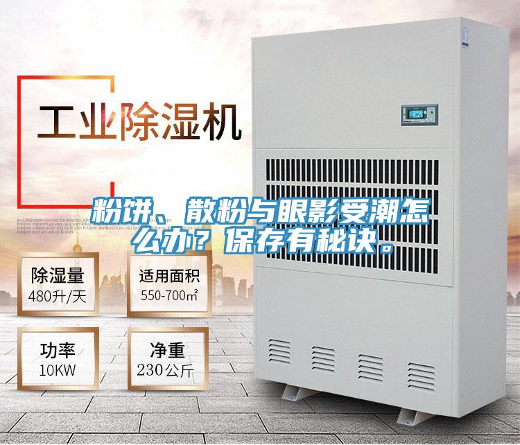 粉餅、散粉與眼影受潮怎么辦？保存有秘訣。