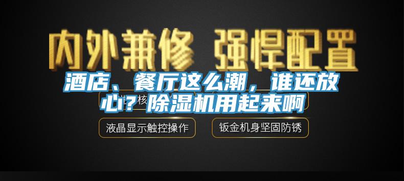 酒店、餐廳這么潮，誰還放心？除濕機(jī)用起來啊