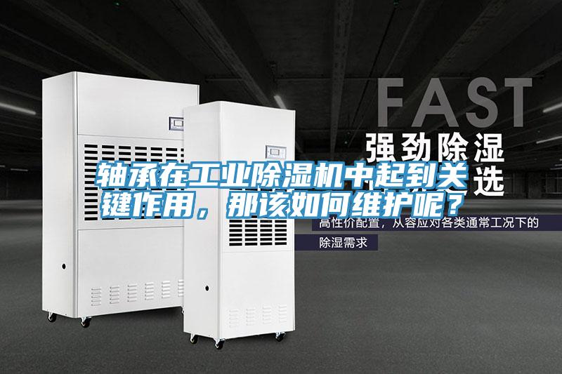 軸承在工業(yè)除濕機中起到關(guān)鍵作用，那該如何維護呢？