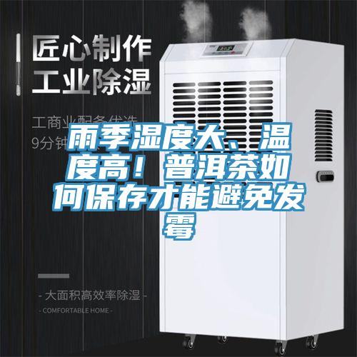 雨季濕度大、溫度高！普洱茶如何保存才能避免發(fā)霉