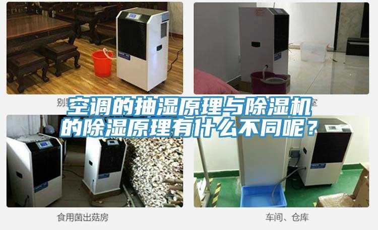 空調(diào)的抽濕原理與除濕機的除濕原理有什么不同呢？
