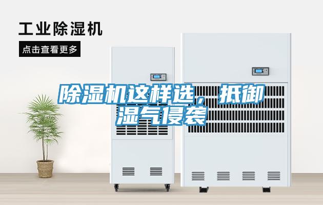 除濕機這樣選，抵御濕氣侵襲