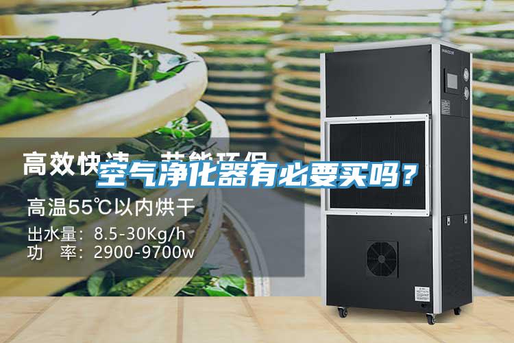 空氣凈化器有必要買嗎?
