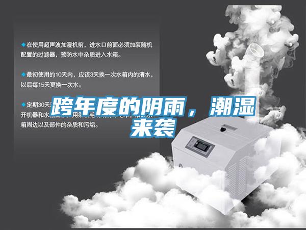 跨年度的陰雨，潮濕來襲