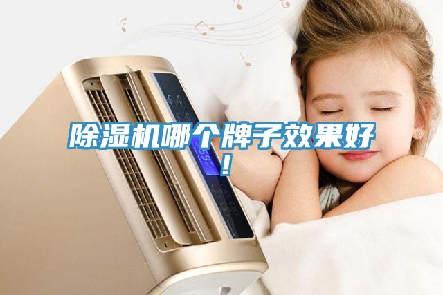除濕機(jī)哪個(gè)牌子效果好！