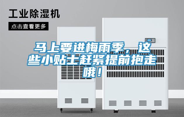 馬上要進(jìn)梅雨季，這些小貼士趕緊提前抱走哦！