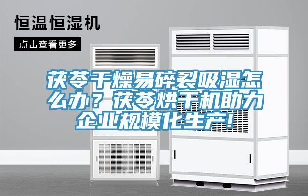茯苓干燥易碎裂吸濕怎么辦？茯苓烘干機助力企業(yè)規(guī)?；a(chǎn)!