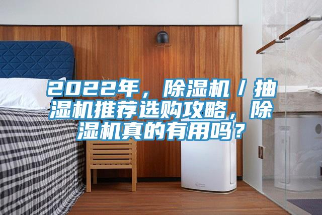 2022年，除濕機／抽濕機推薦選購攻略，除濕機真的有用嗎？