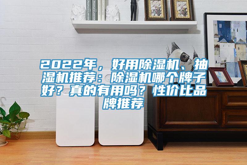 2022年，好用除濕機、抽濕機推薦：除濕機哪個牌子好？真的有用嗎？性價比品牌推薦