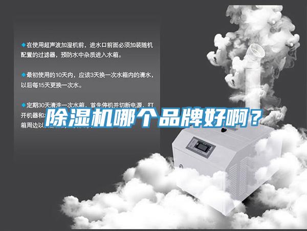 除濕機(jī)哪個(gè)品牌好?。?></div>
								<div   id=
