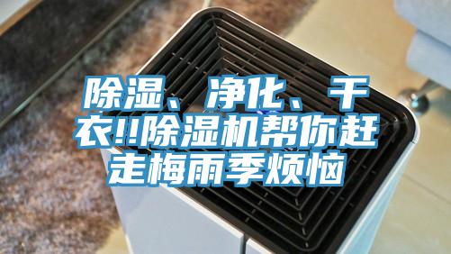 除濕、凈化、干衣!!除濕機(jī)幫你趕走梅雨季煩惱