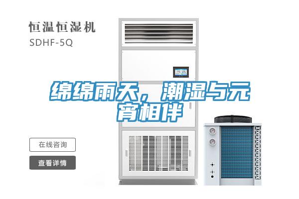 綿綿雨天，潮濕與元宵相伴