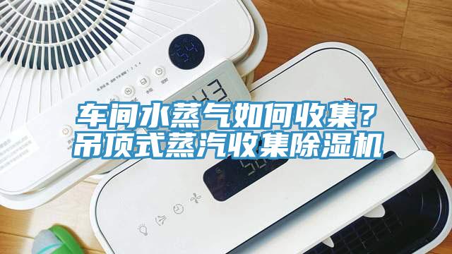車間水蒸氣如何收集？吊頂式蒸汽收集除濕機(jī)