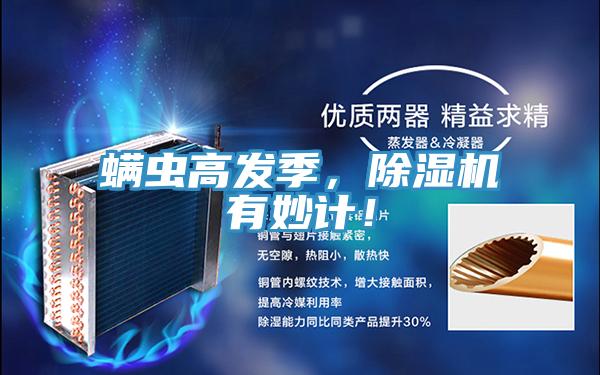 螨蟲(chóng)高發(fā)季，除濕機(jī)有妙計(jì)！