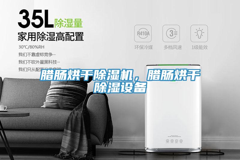 臘腸烘干除濕機(jī)，臘腸烘干除濕設(shè)備