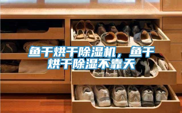 魚干烘干除濕機(jī)，魚干烘干除濕不靠天