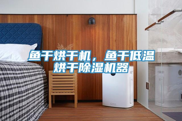魚干烘干機(jī)，魚干低溫烘干除濕機(jī)器