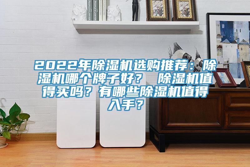 2022年除濕機(jī)選購(gòu)?fù)扑]：除濕機(jī)哪個(gè)牌子好？ 除濕機(jī)值得買嗎？有哪些除濕機(jī)值得入手？