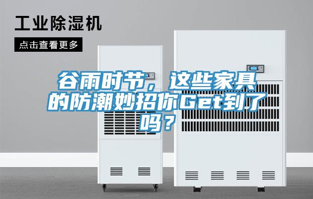 谷雨時(shí)節(jié)，這些家具的防潮妙招你Get到了嗎？