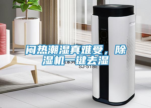 悶熱潮濕真難受，除濕機一鍵去濕