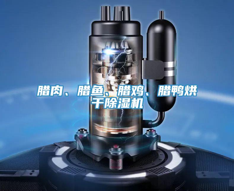 臘肉、臘魚、臘雞、臘鴨烘干除濕機(jī)