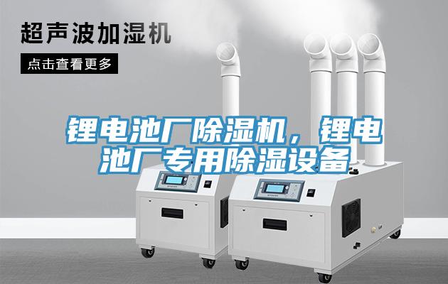 鋰電池廠除濕機(jī)，鋰電池廠專用除濕設(shè)備