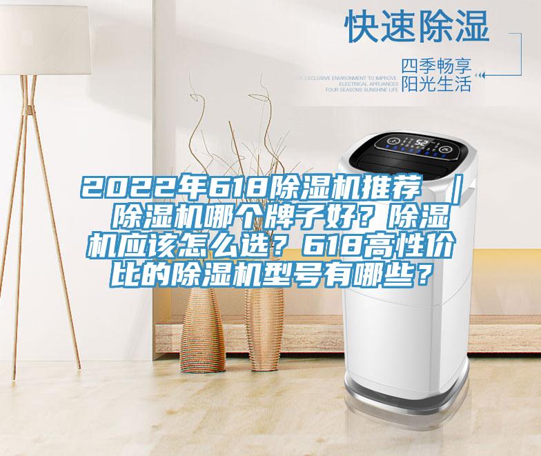 2022年618除濕機(jī)推薦 ｜ 除濕機(jī)哪個(gè)牌子好？除濕機(jī)應(yīng)該怎么選？618高性價(jià)比的除濕機(jī)型號(hào)有哪些？