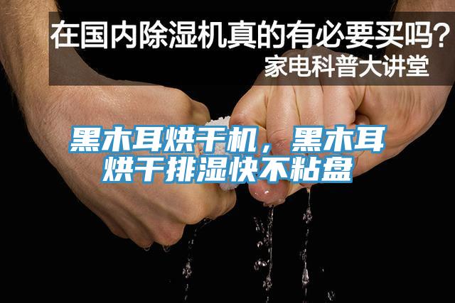 黑木耳烘干機(jī)，黑木耳烘干排濕快不粘盤(pán)