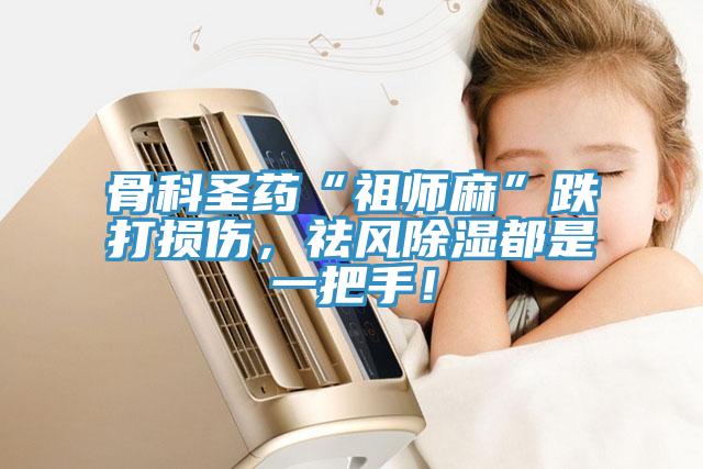 骨科圣藥“祖師麻”跌打損傷，祛風(fēng)除濕都是一把手！